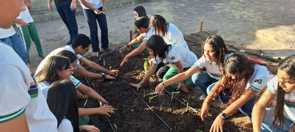 Horta escolar Pio IX