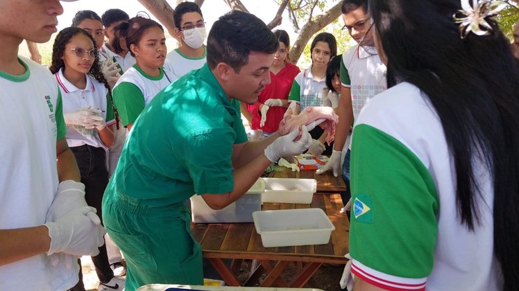Encontro Agropecuário
