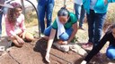 Visita