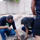 curso de implantação de horta escolar