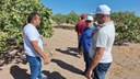 Visita de professores do IF Sertão Pernambucano