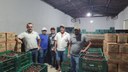 Visita de professores do IF Sertão Pernambucano