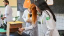 Science Day