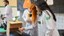 Science Day