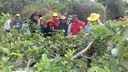 Visita técnica