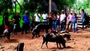 Visita