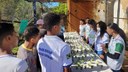 Exposição Agropecuária