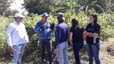 Visita