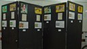 Exposição