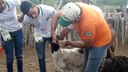 Os eventos englobaram atividades relativas à agricultura familiar e à convivência com o semiárido