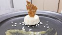 Bolo podre com geléia de cupuaçu e tuíle de mandioca
