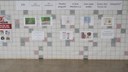 IFPI – No controle ao mosquito Aedes aegypti