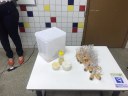 produto desenvolvido