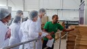 Visita técnica