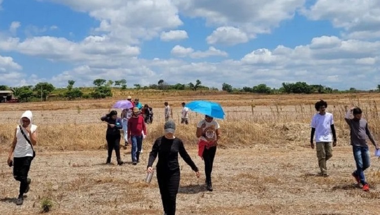 Visita Técnica na Fazenda Mangaba