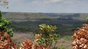 Visita Técnica na Fazenda Mangaba