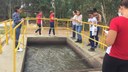 Visita