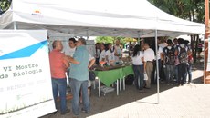 Exposição na Praça João Luís.