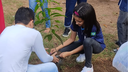 Plantio de árvores em escola municipal de Teresina