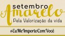 Confira a programação