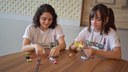 Objetivo foi estimular a curiosidade dos visitantes pelas áreas de Automação, Robótica, Sistemas Inteligentes, Tecnologia Inclusiva, Desenvolvimento de Software e Games