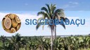 O Sistema traz informações gerais sobre o babaçu e os municípios produtores, além de fornecer um banco de dados geográficos
