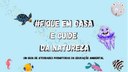 Publicação