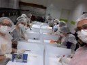 curso básico de conservação em papel