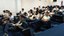 Campus em Movimento
