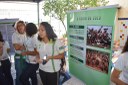 Semana da Consciência Negra