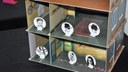 Exposição “Aprendendo com Anne Frank