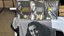 Exposição “Aprendendo com Anne Frank