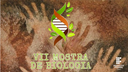 Confira