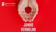 A ação é organizada pelo Setor de Saúde do campus em parceria com o Hemopi