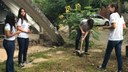 Semana do Meio Ambiente