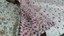Dress Rabisk