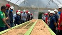 Visita técnica
