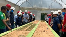 A visita teve caráter multidisciplinar e envolveu três disciplinas do curso