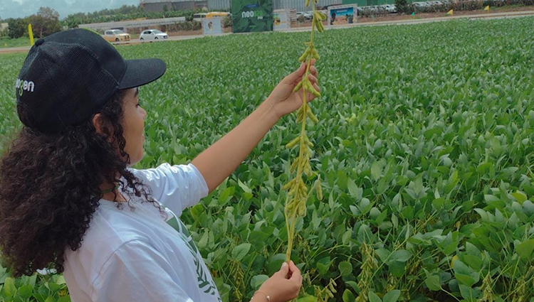 Estiveram envolvidos com o evento, alunos do curso de Bacharelado em Engenharia Agronômica e docentes do campus
