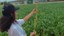 Dia de Campo