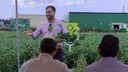 Estiveram envolvidos com o evento, alunos do curso de Bacharelado em Engenharia Agronômica e docentes do campus