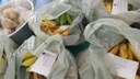 Foram entregues 240 cestas com alimentos