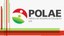 Polae