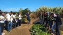 Simpósio contou com apresentação de palestras, realização de minicursos e visita às estações demonstrativas na Fazenda-Escola do Campus