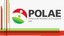 Polae