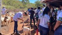 Visita técnica
