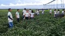 Visita