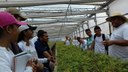 Visita técnica