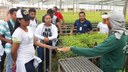 Visita técnica