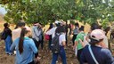 A atividade reforçou a aprendizagem adquirida na sala de aula na disciplina de Cultura e Meio Ambiente